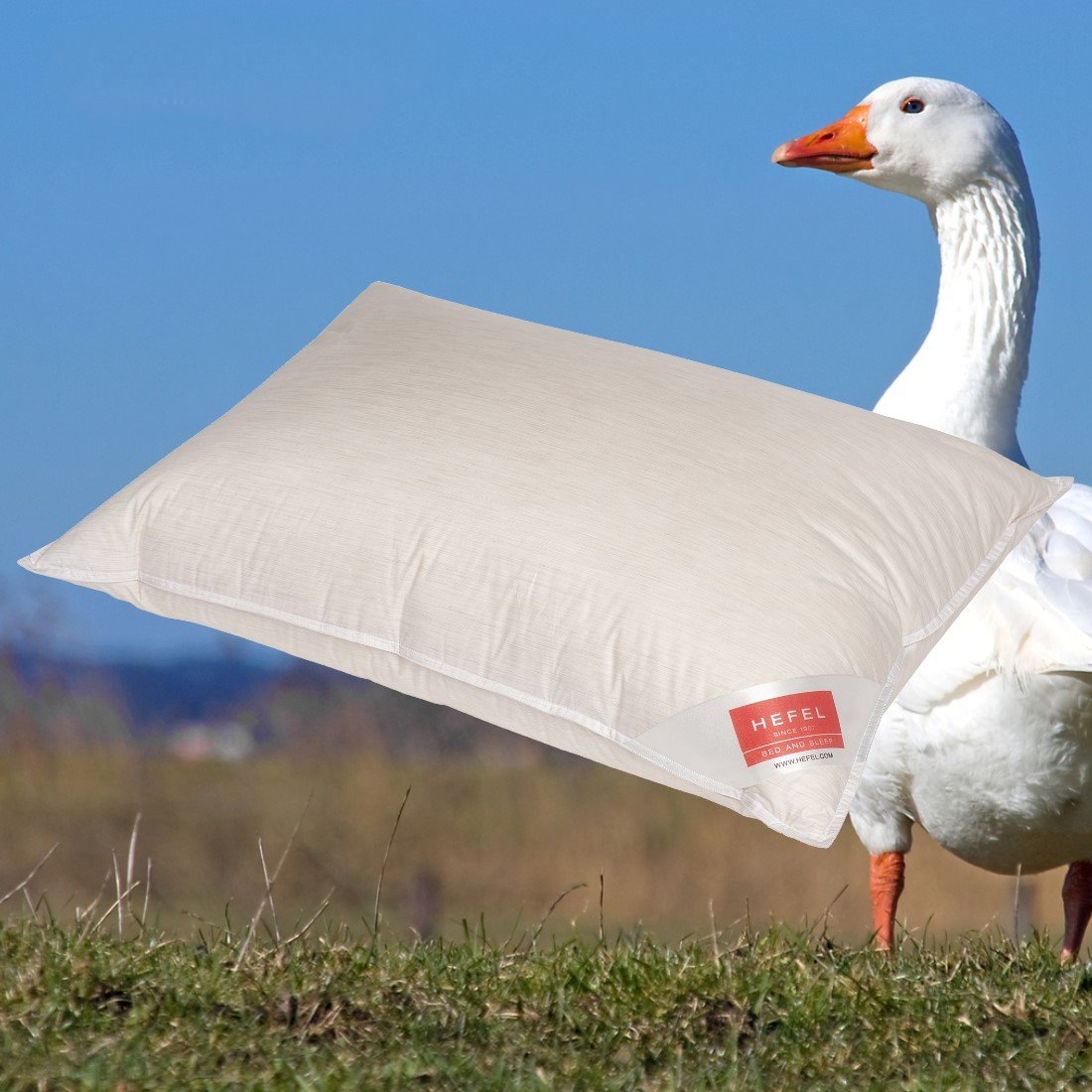 Hefel OPULENCE 3 Kammer Daunen Kissen SOFT