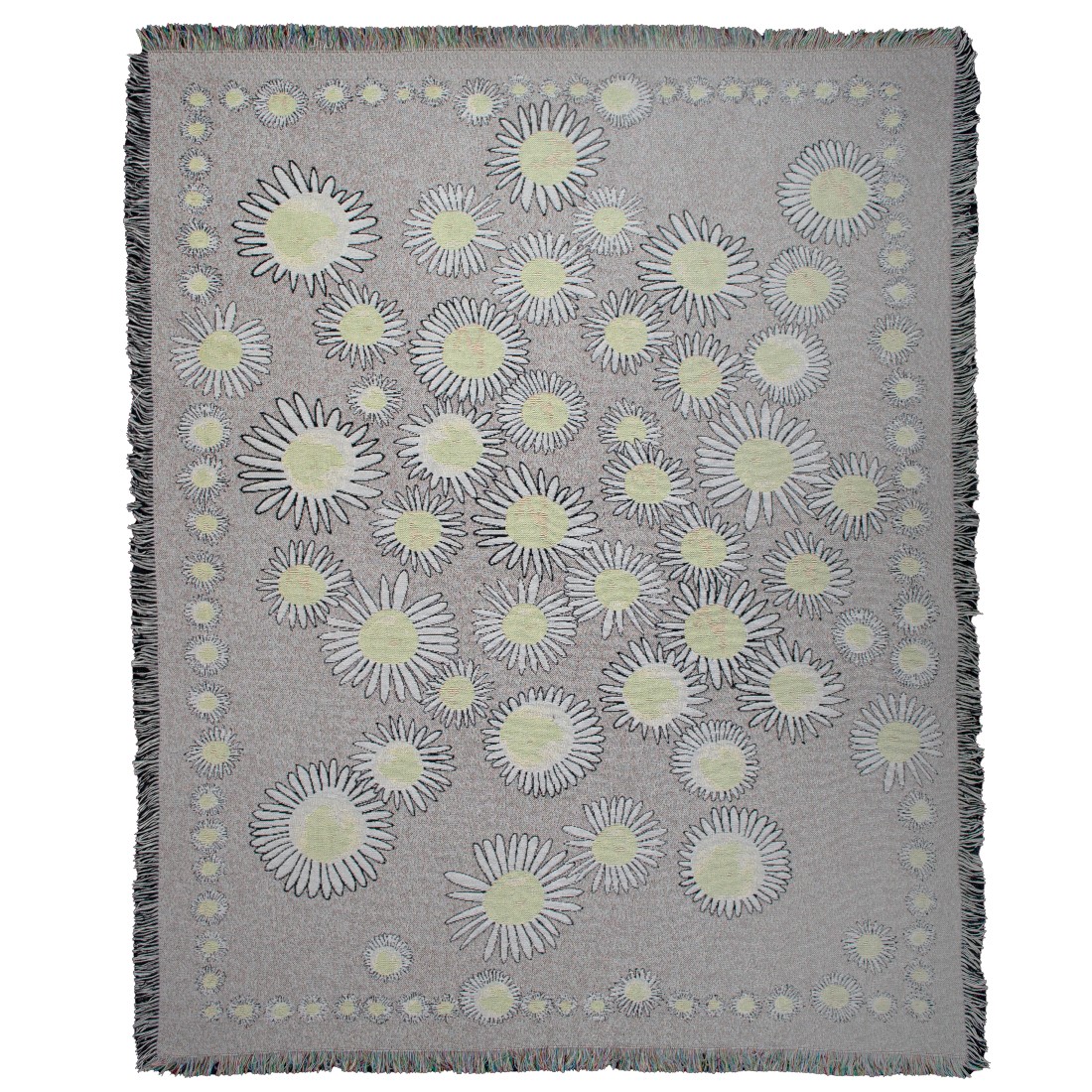 Zoeppritz Decke ABSURD DAISY