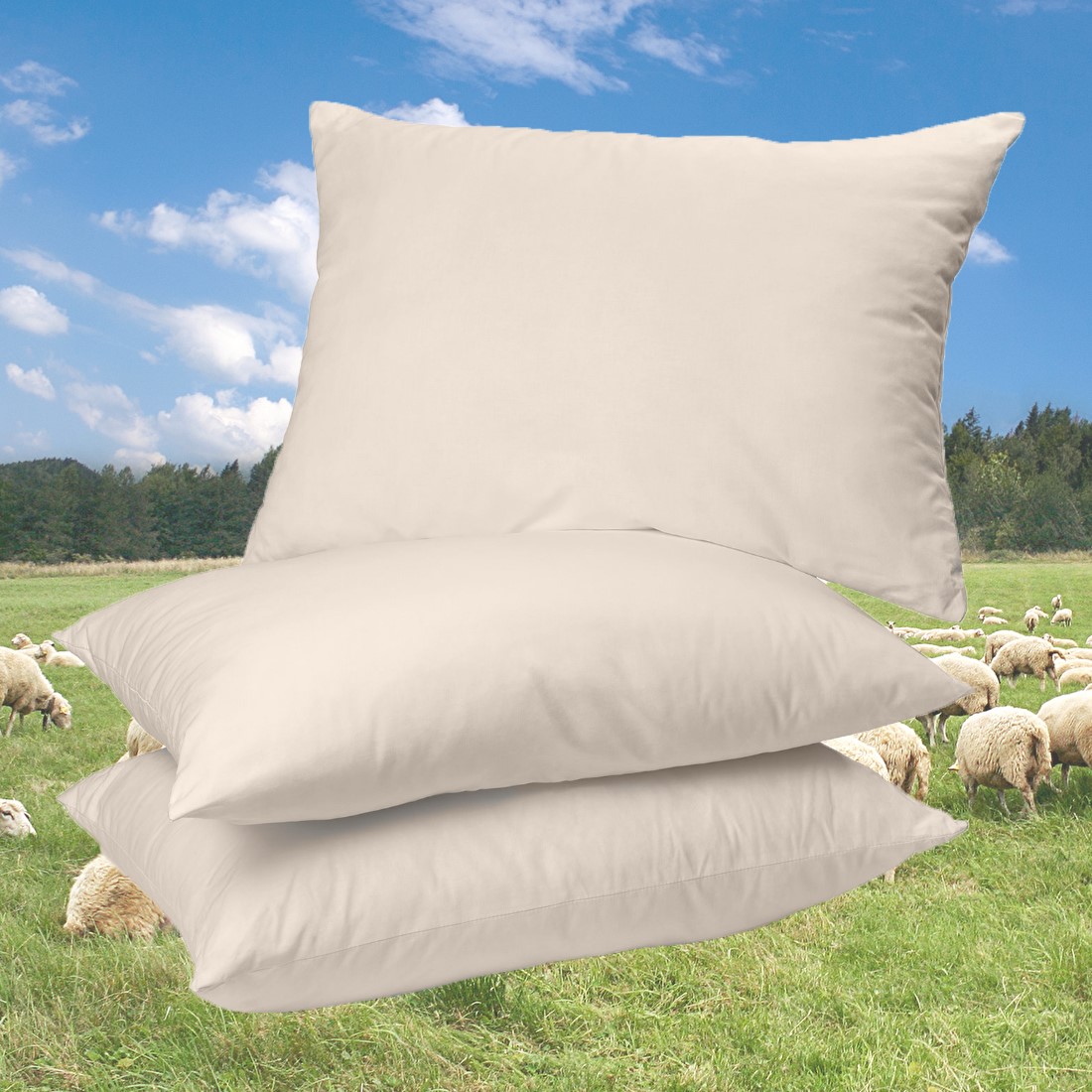 Schafwolle Kopfkissen kbA/KbT mit Wollkügelchen