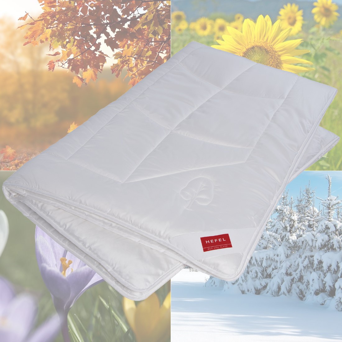 Hefel KlimaControl Comfort Ganzjahres Bettdecke mit Jahreszeiten Hintergrund